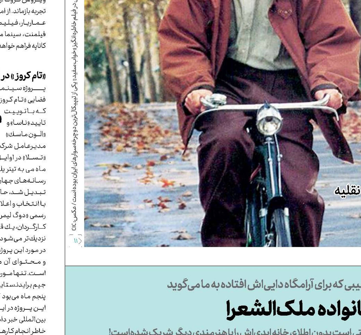 مهمان ناخوانده خانواده ملک‌الشعرا