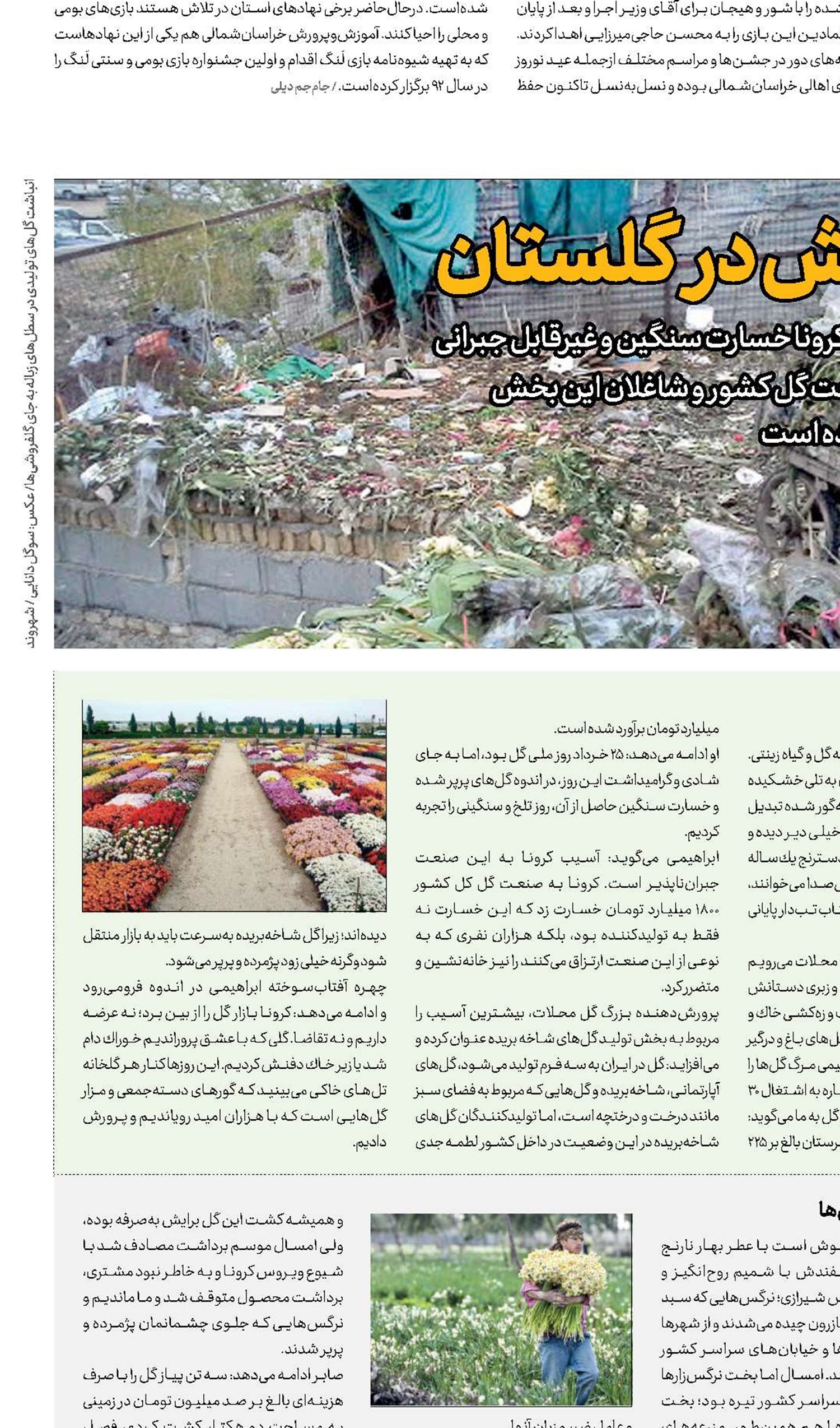آتش در گلستان 