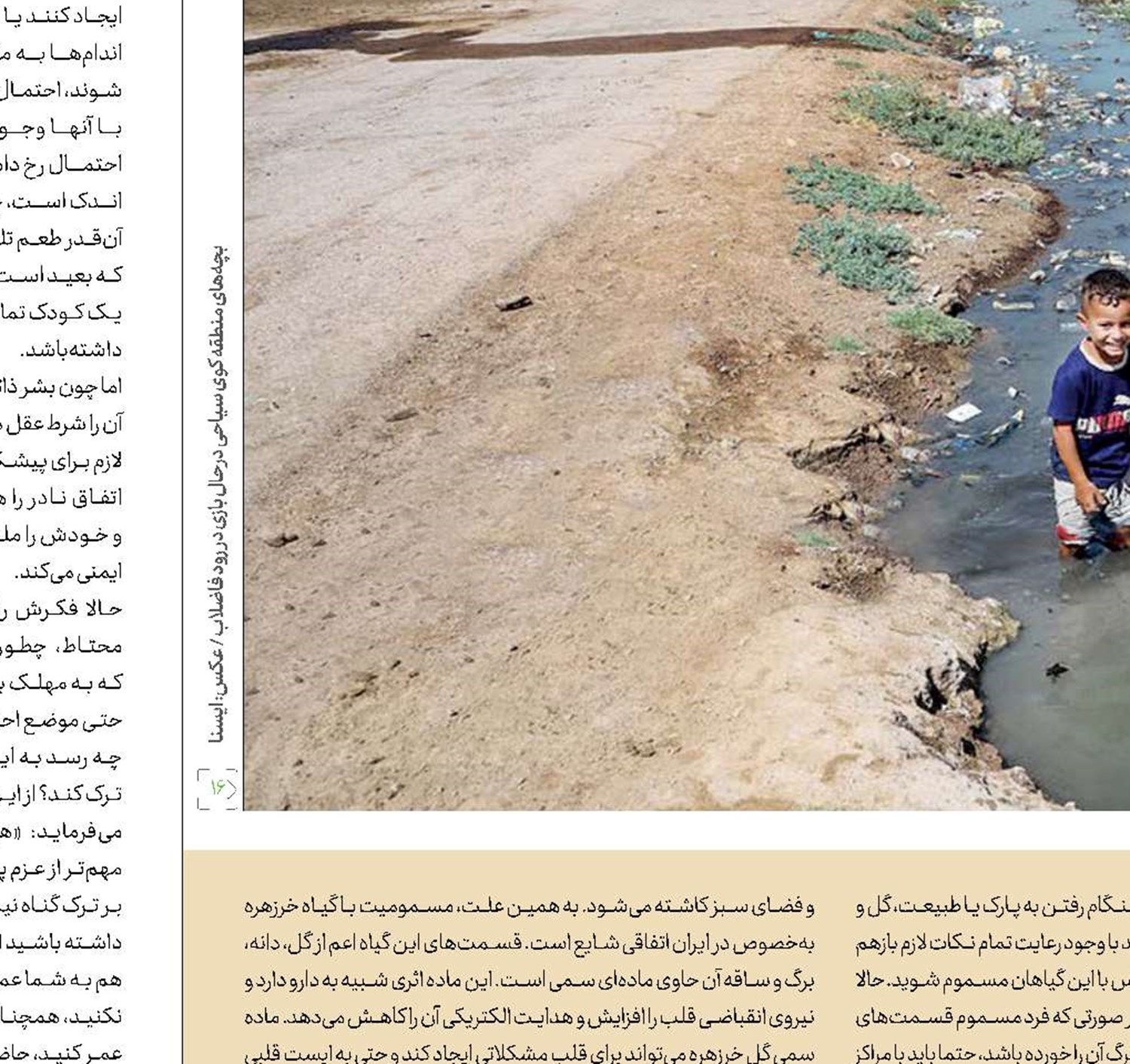 زیبــــای سَـــمی