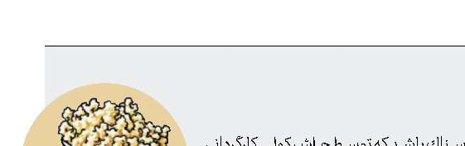 «هیولاهای كوچك» كولی