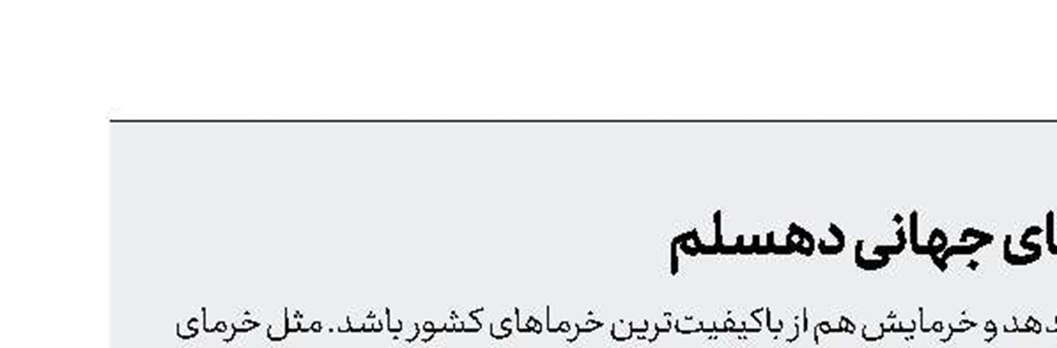 برداشت خرمای کبکاب در روستای جهانی دهسلم 