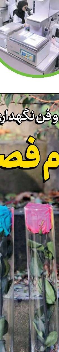 حق با شماست