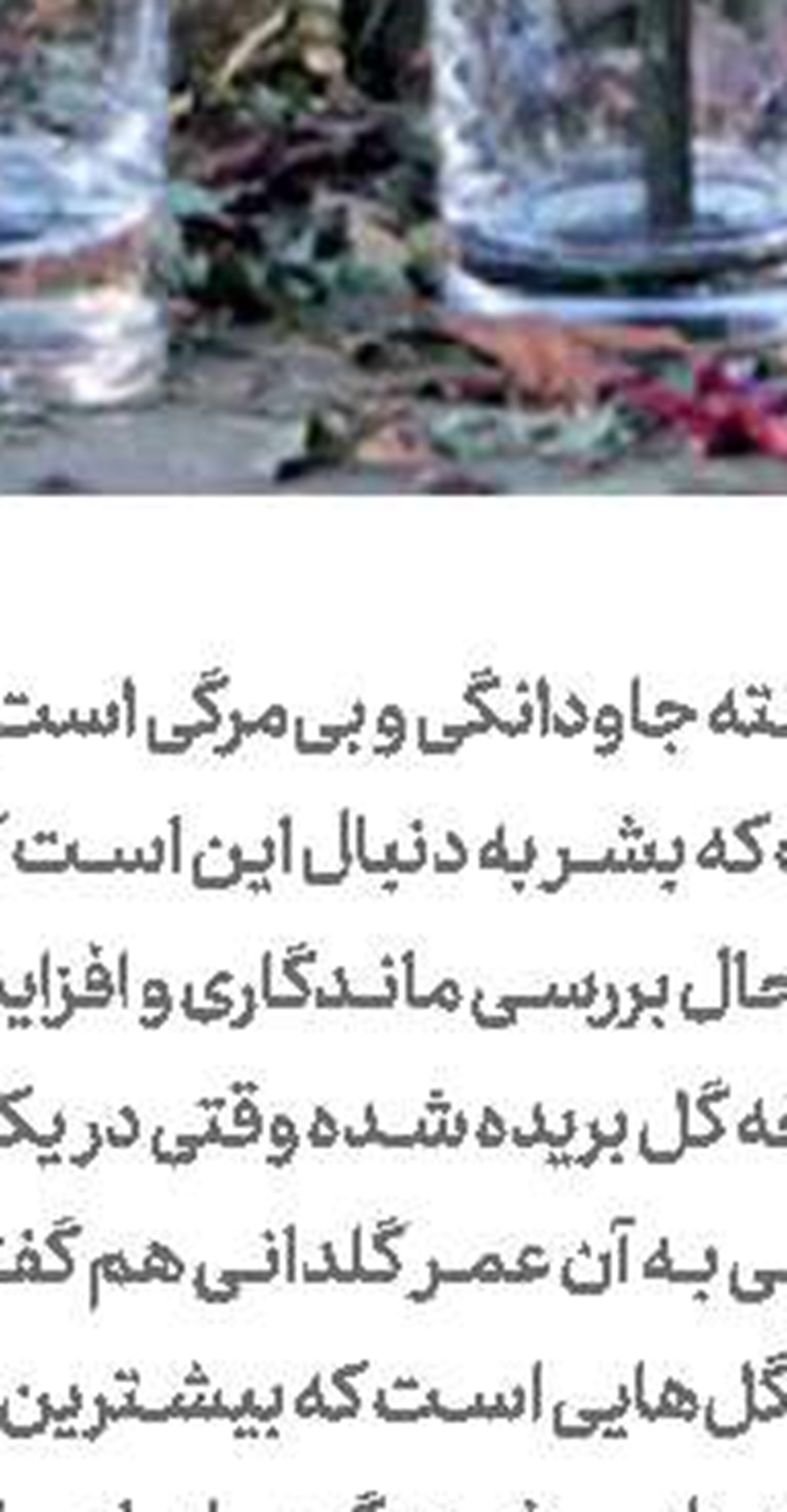 جوابیه