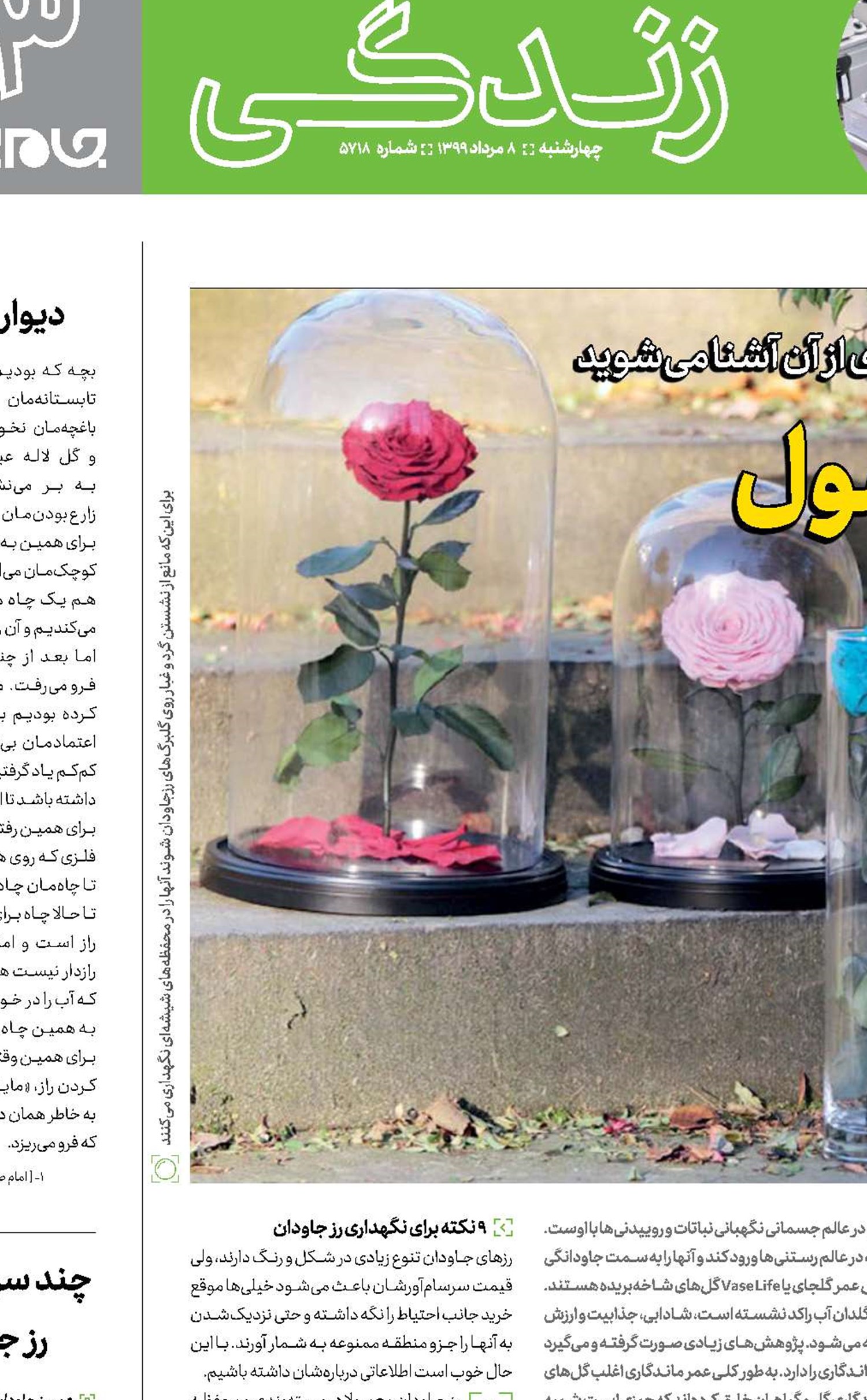 گلی برای تمام فصول