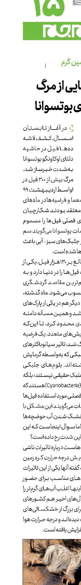 رمزگشایی از مرگ فیل‌های بوتسوانا