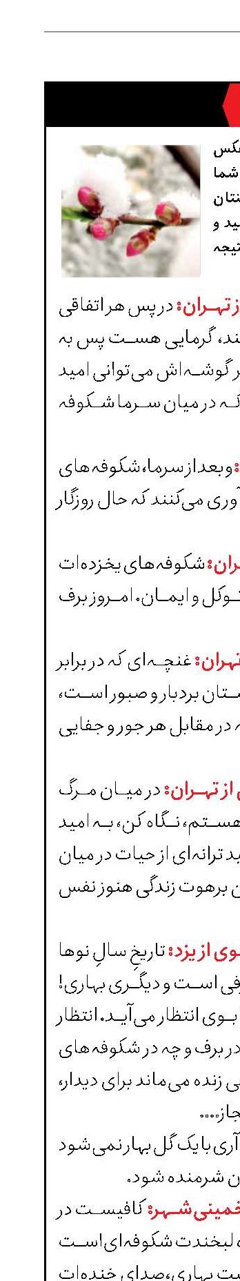 عکس بی‌قاب