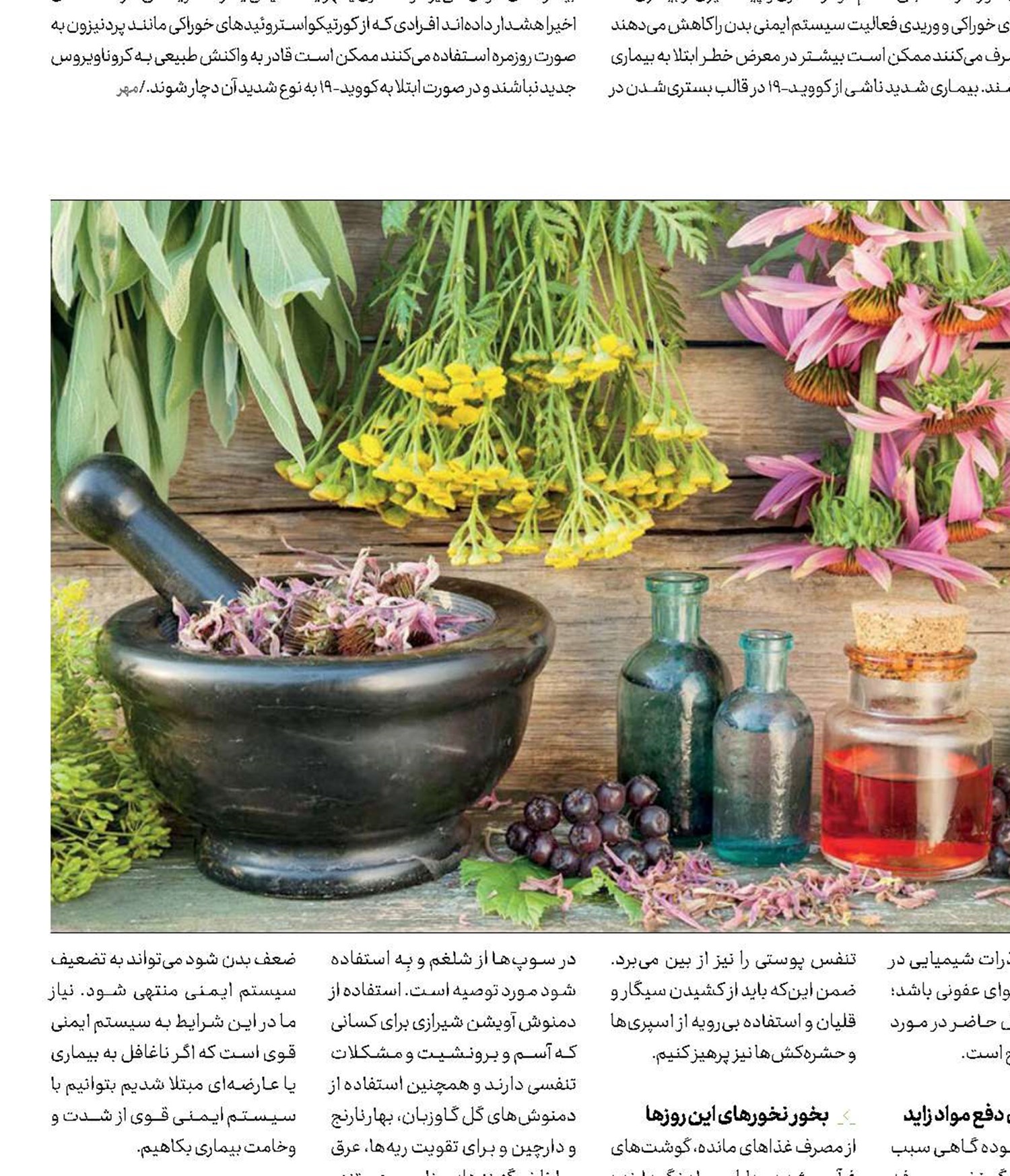 سبک‌زندگی در هوای وبایی