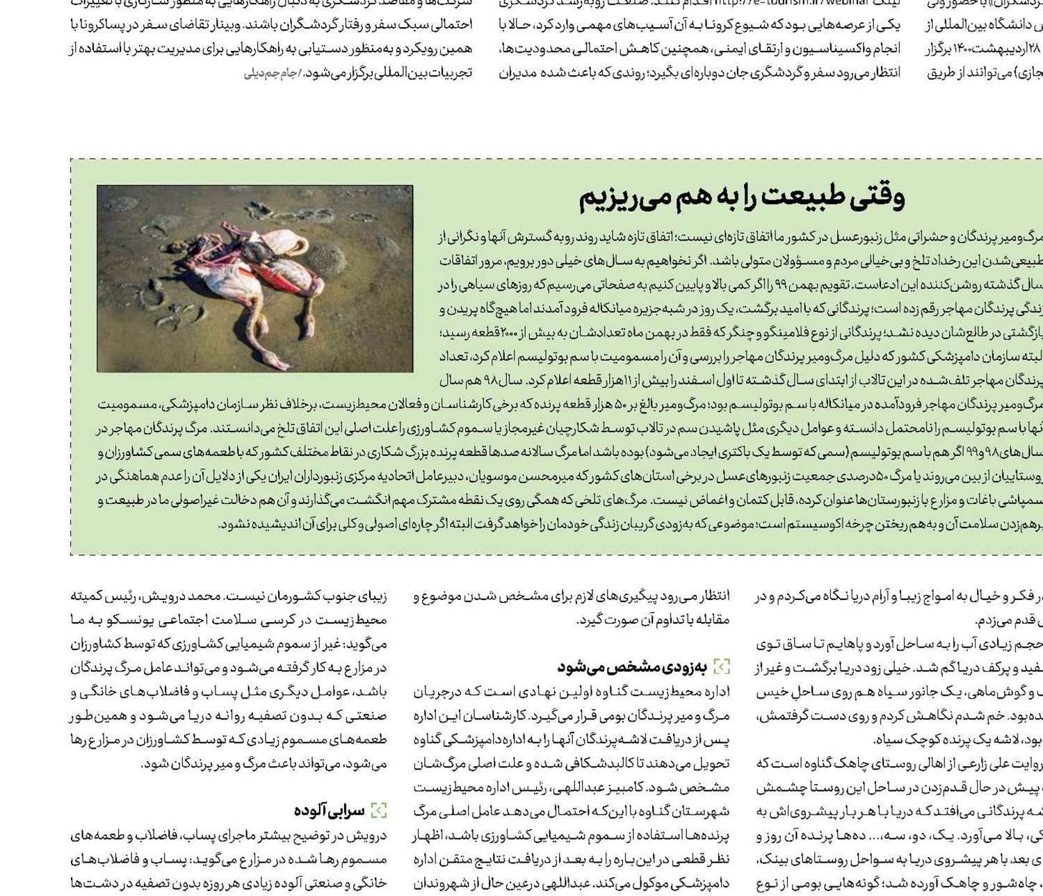 ساحل گناوه؛ گورستان جدید پرندگان 