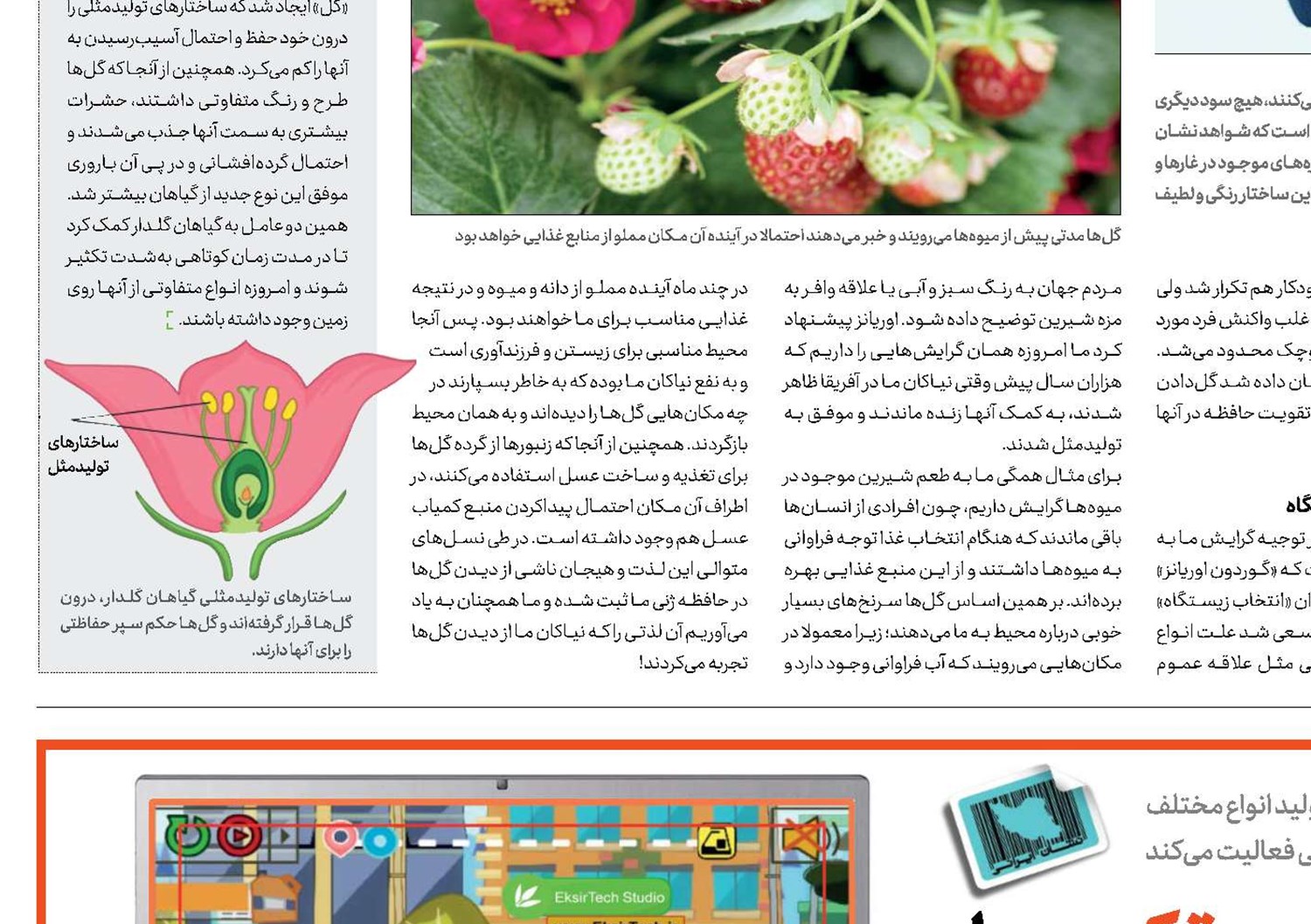 ساخت هر بازی و نرم‌افزاری را به اکسیر تِک بسپار