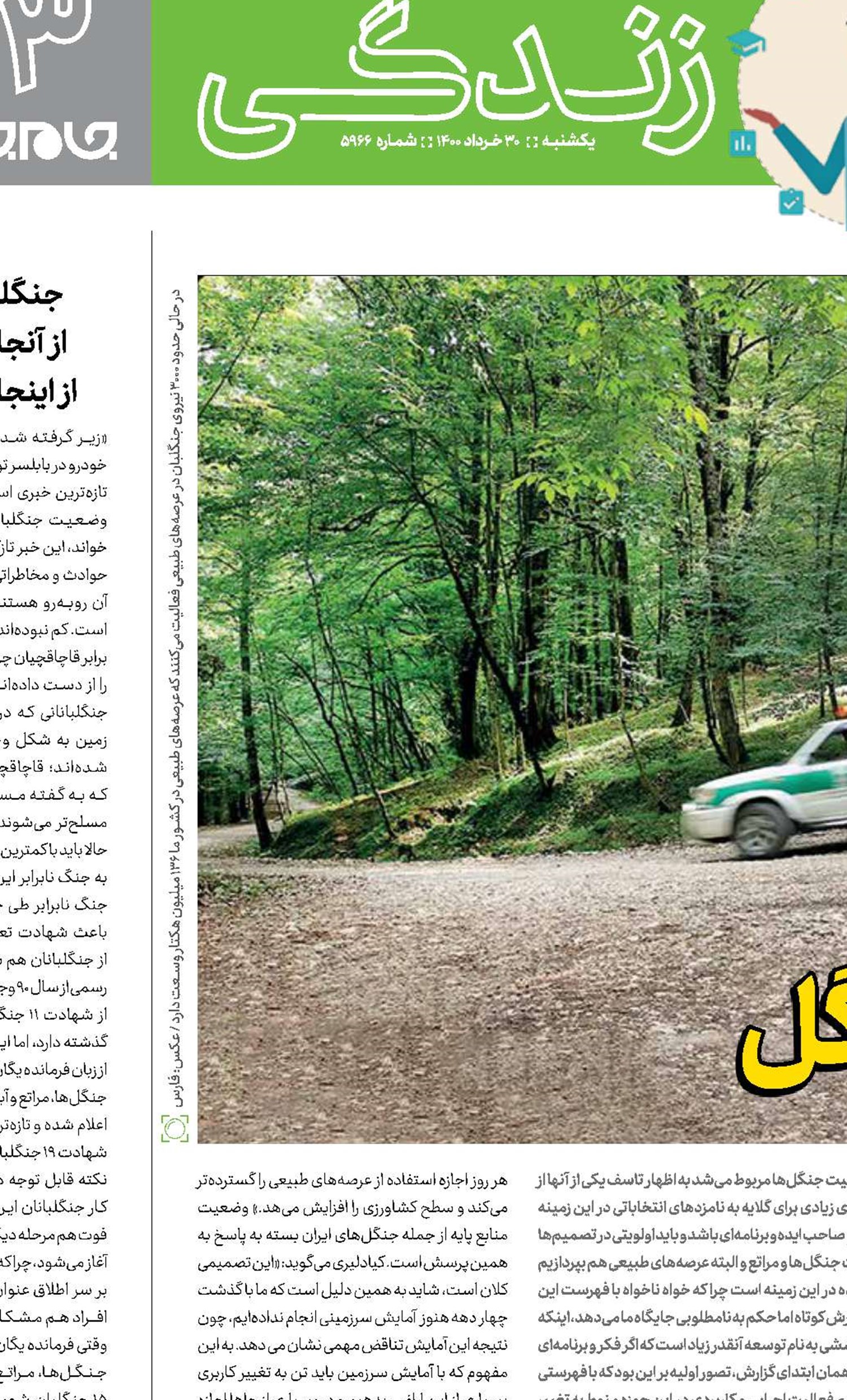 قانون برای جنگل