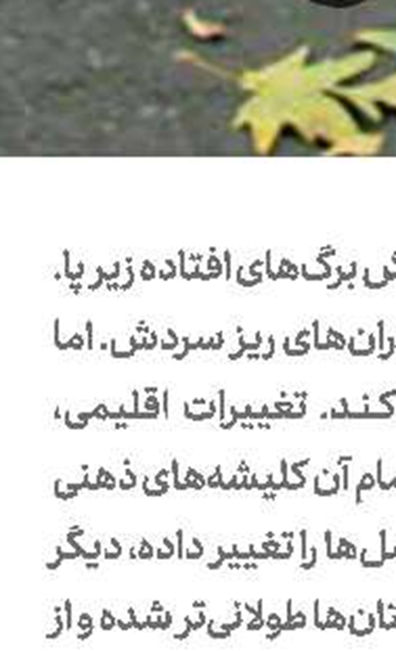 جوابیه