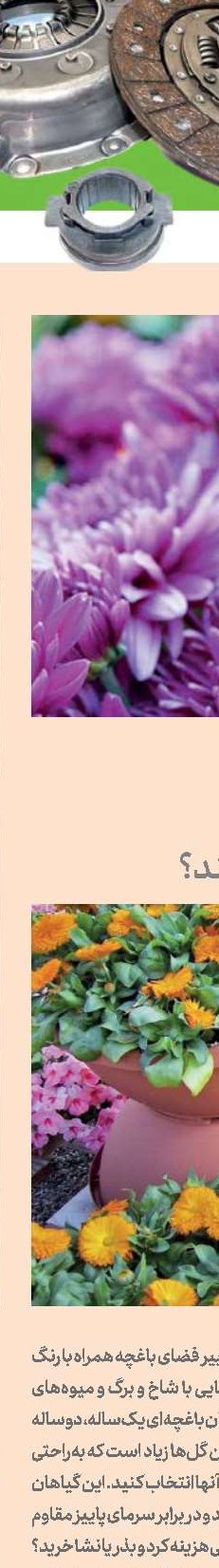 حق با شماست