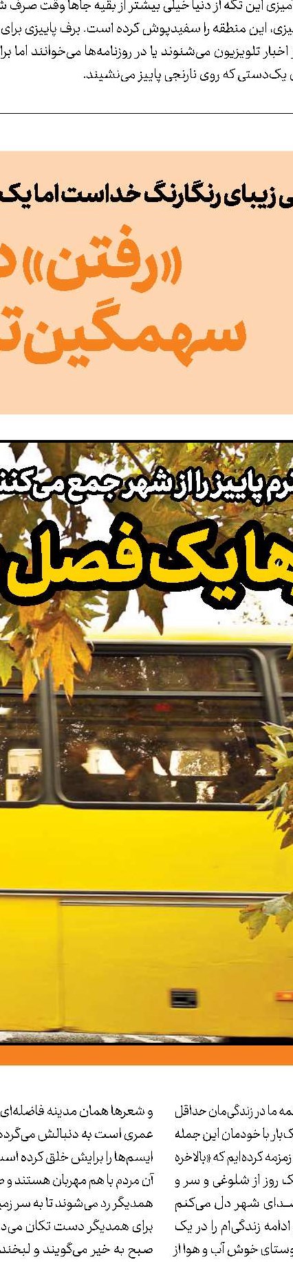 رانندگی پاییزی