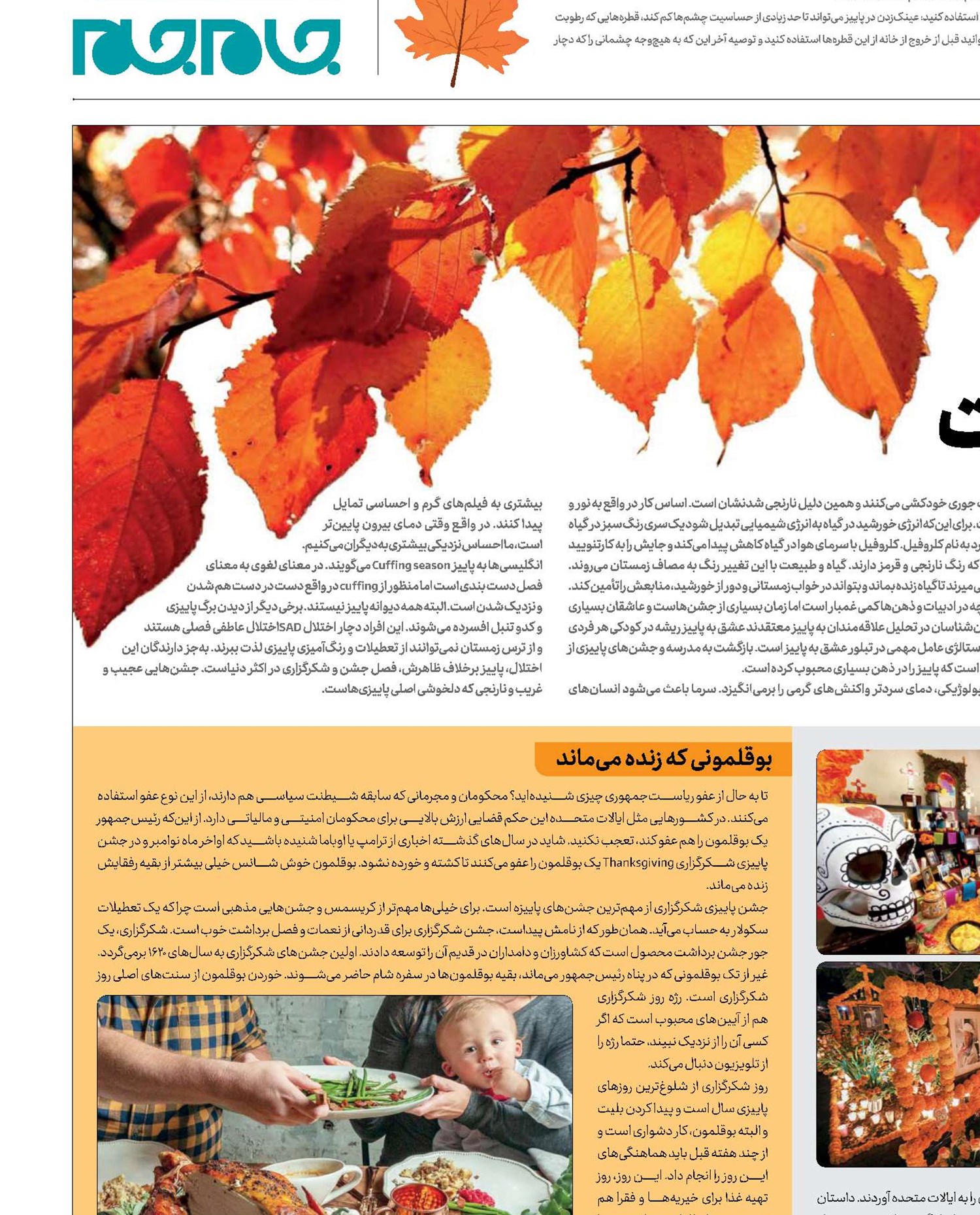 جای بهار خالی نیست