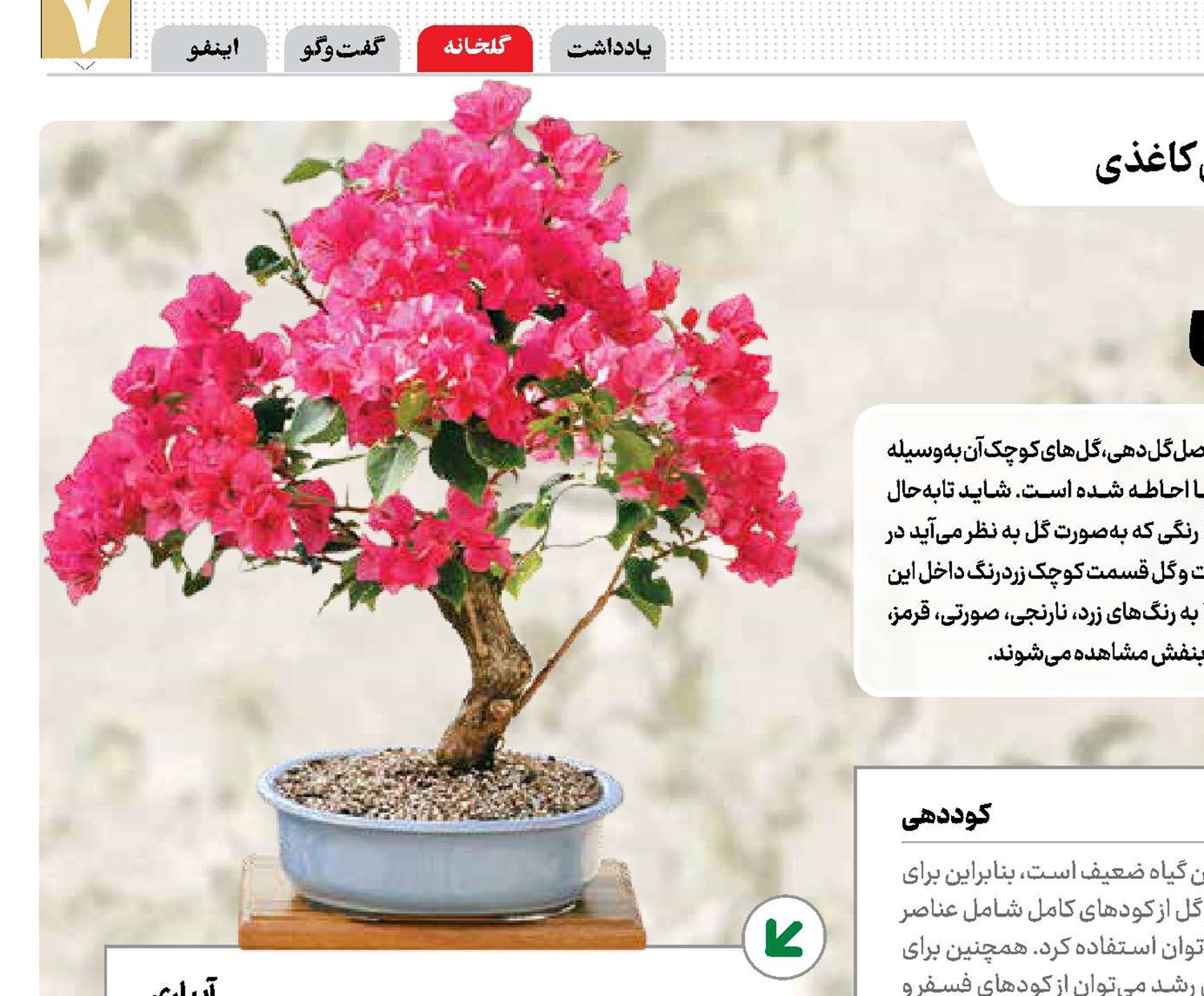  زیبای کاغذی