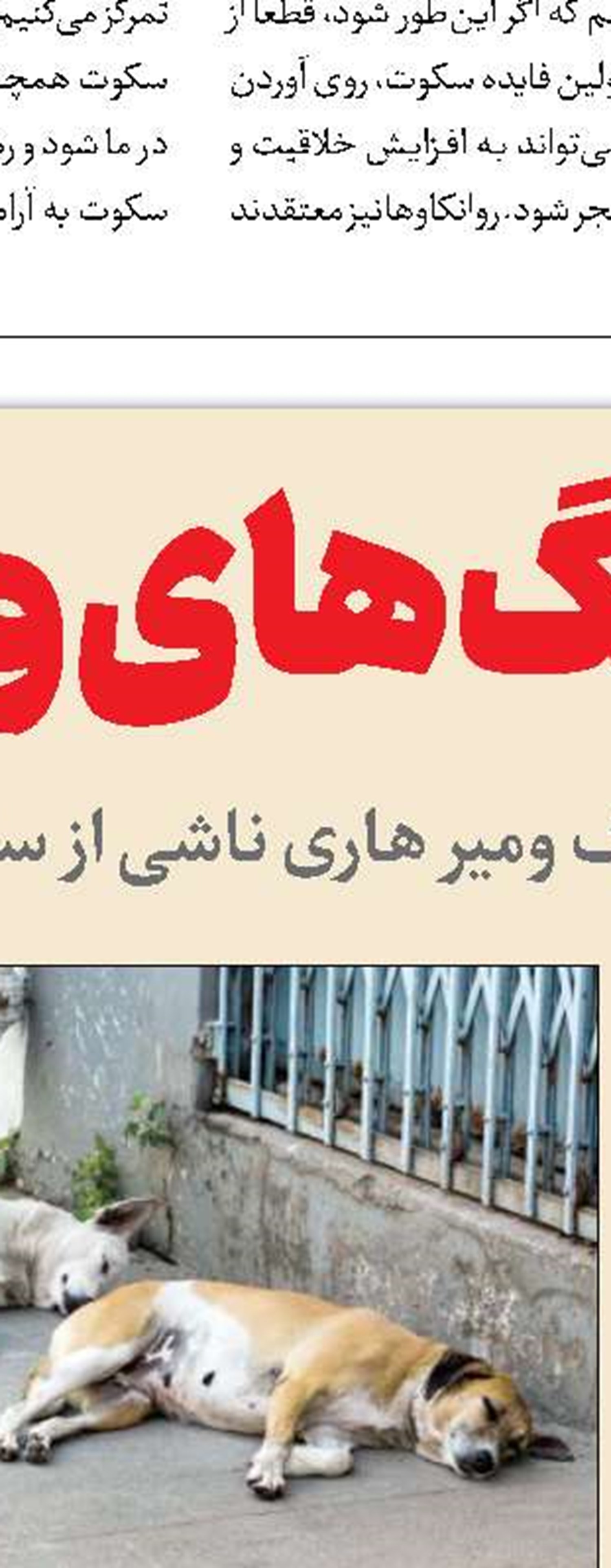 مدیریت برای همزیستی معقول
