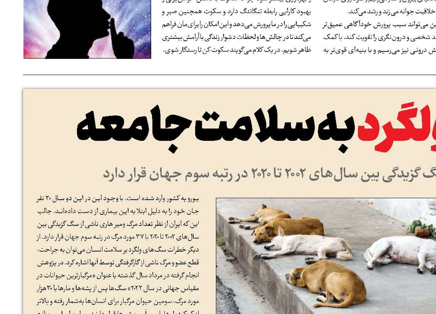 حمله سگ‌های ولگرد به سلامت جامعه