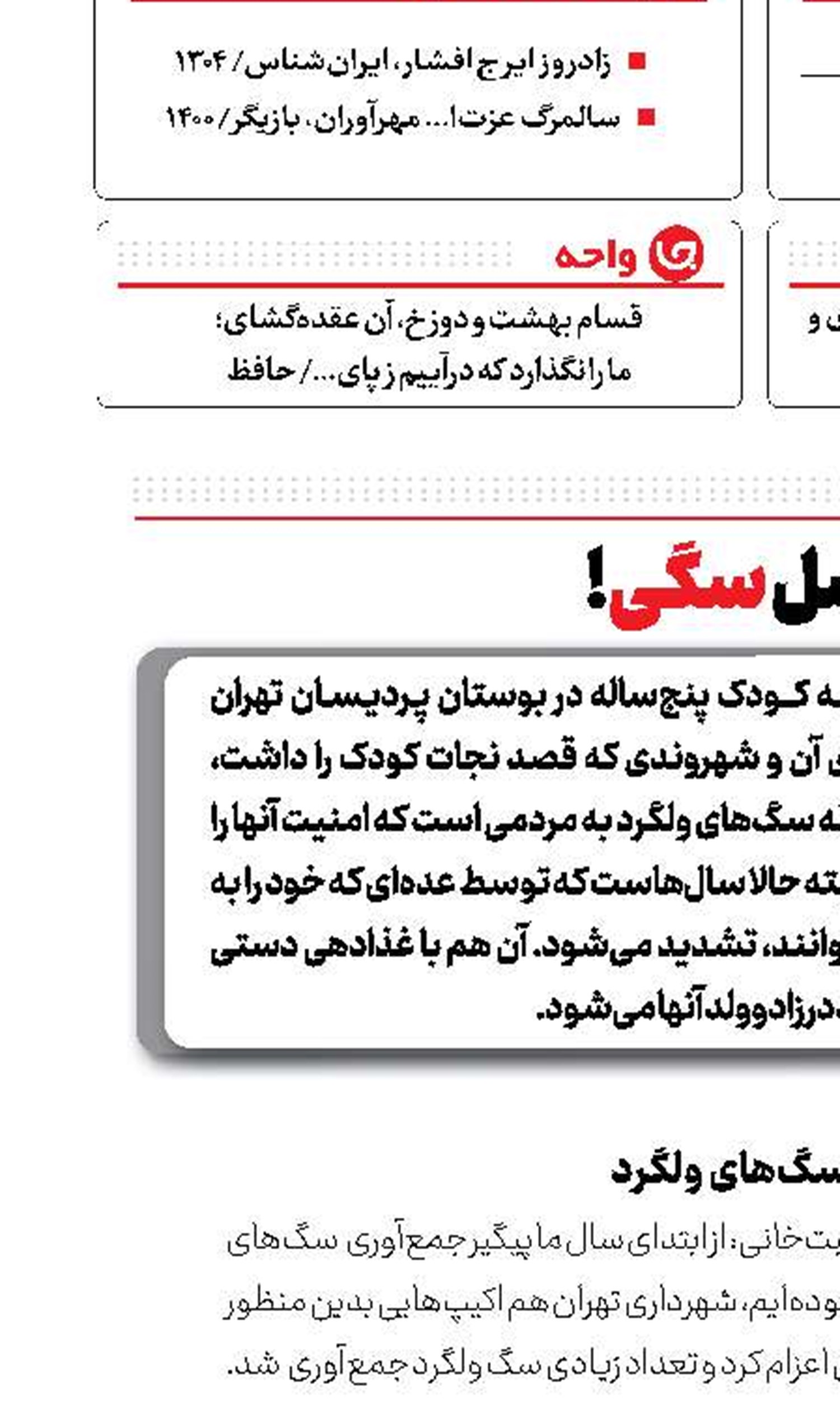 معضل سگی!