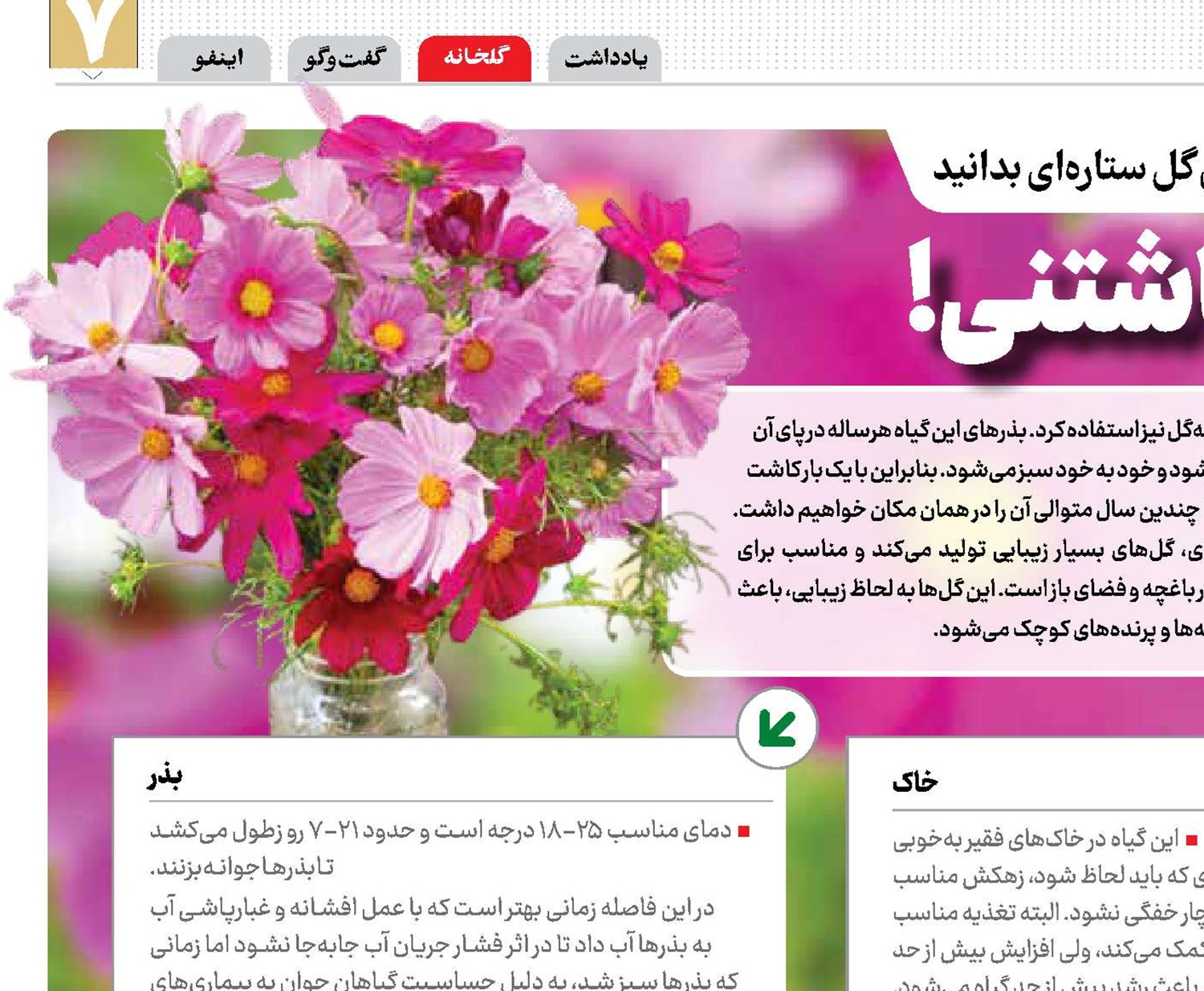 ستاره‌های کاشتنی!