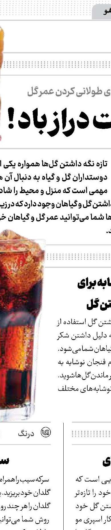 رمز و رازهای دم‌کردن چای