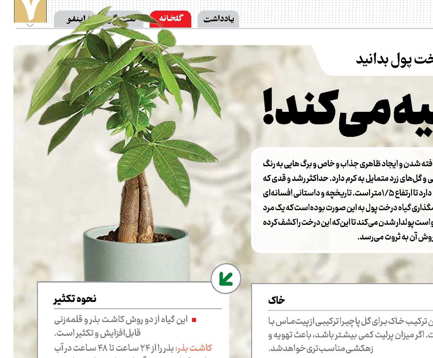 «پول» هوا را تصفیه می‌کند!