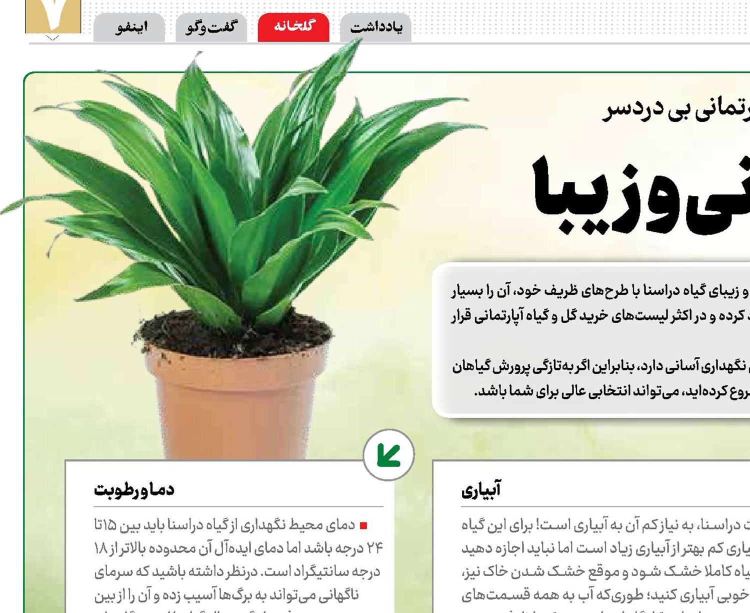 دراسنا، آپارتمانی و زیبا