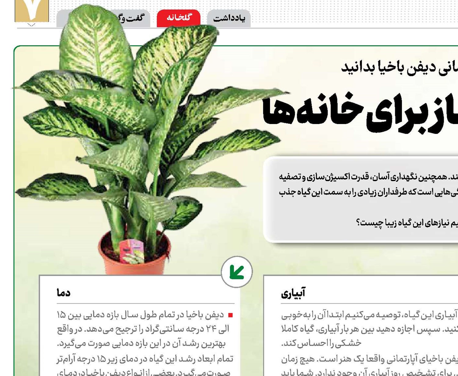 دیفن باخیا، اکسیژن‌ساز برای خانه‌ها