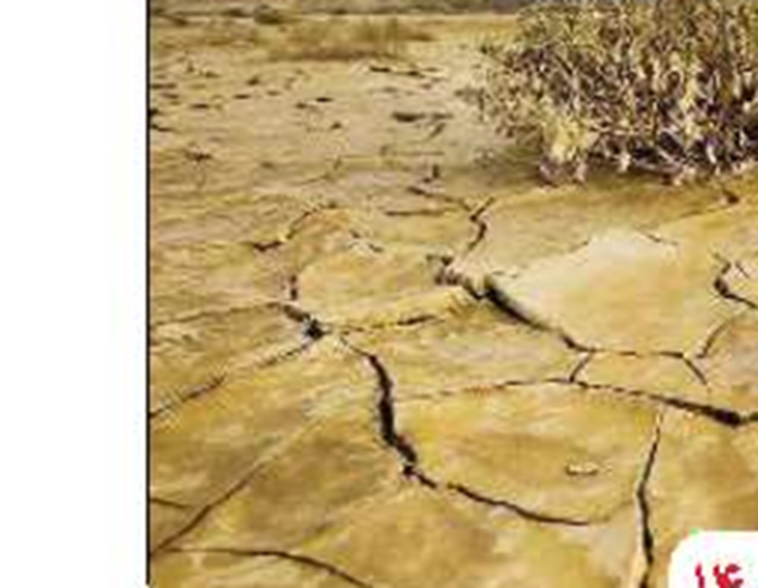 سیاه‌و‌سفید رتبه‌بندی‌مدارس