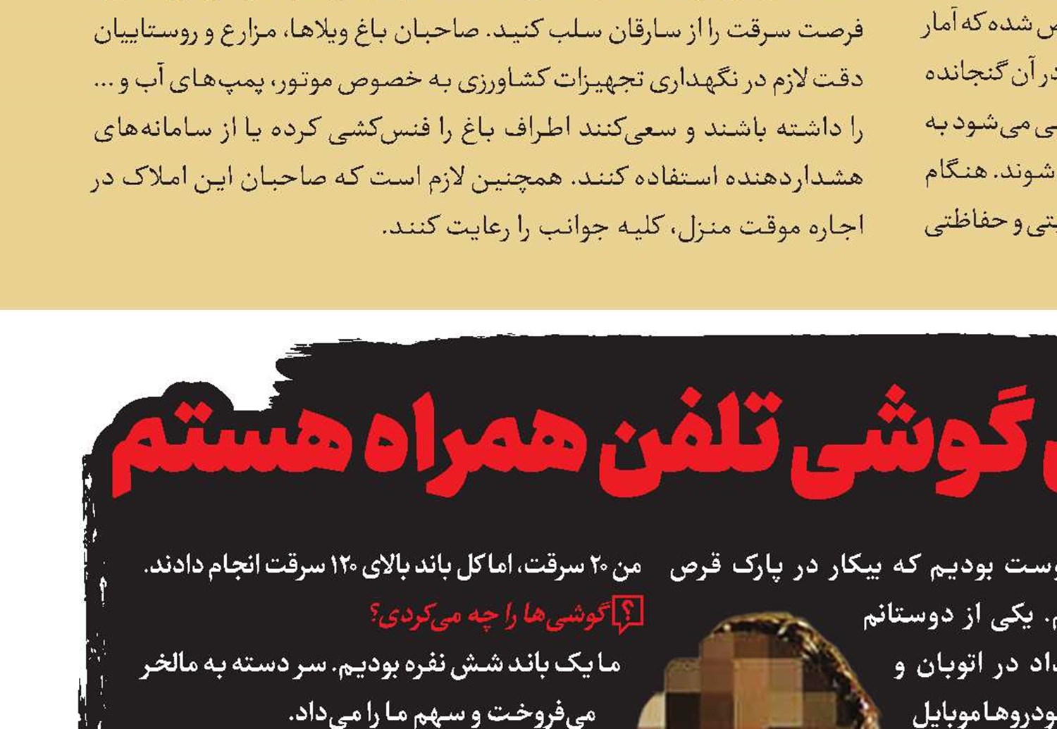 من سارق حرفه‌ای گوشی تلفن همراه هستم