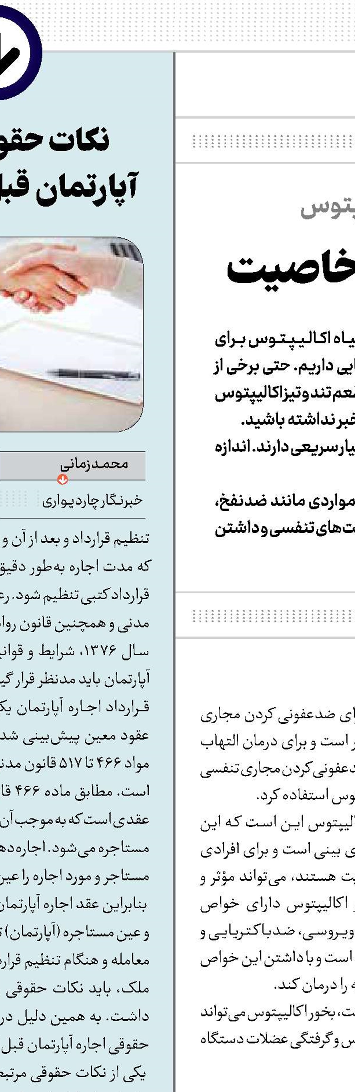 اکالیپتوس طعم تند و با خاصیت