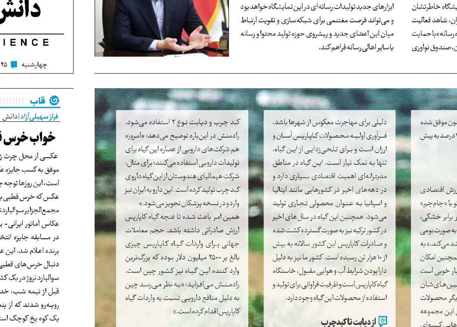 جواهر سبز بیابان