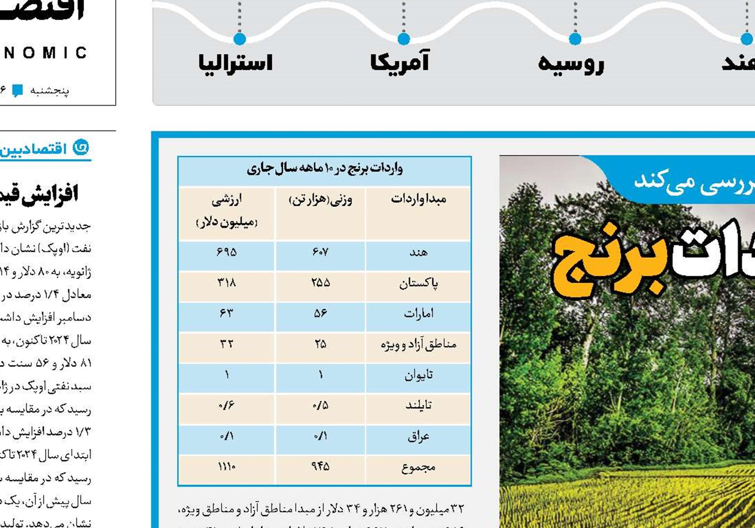 افزایش تولید به جای واردات برنج
