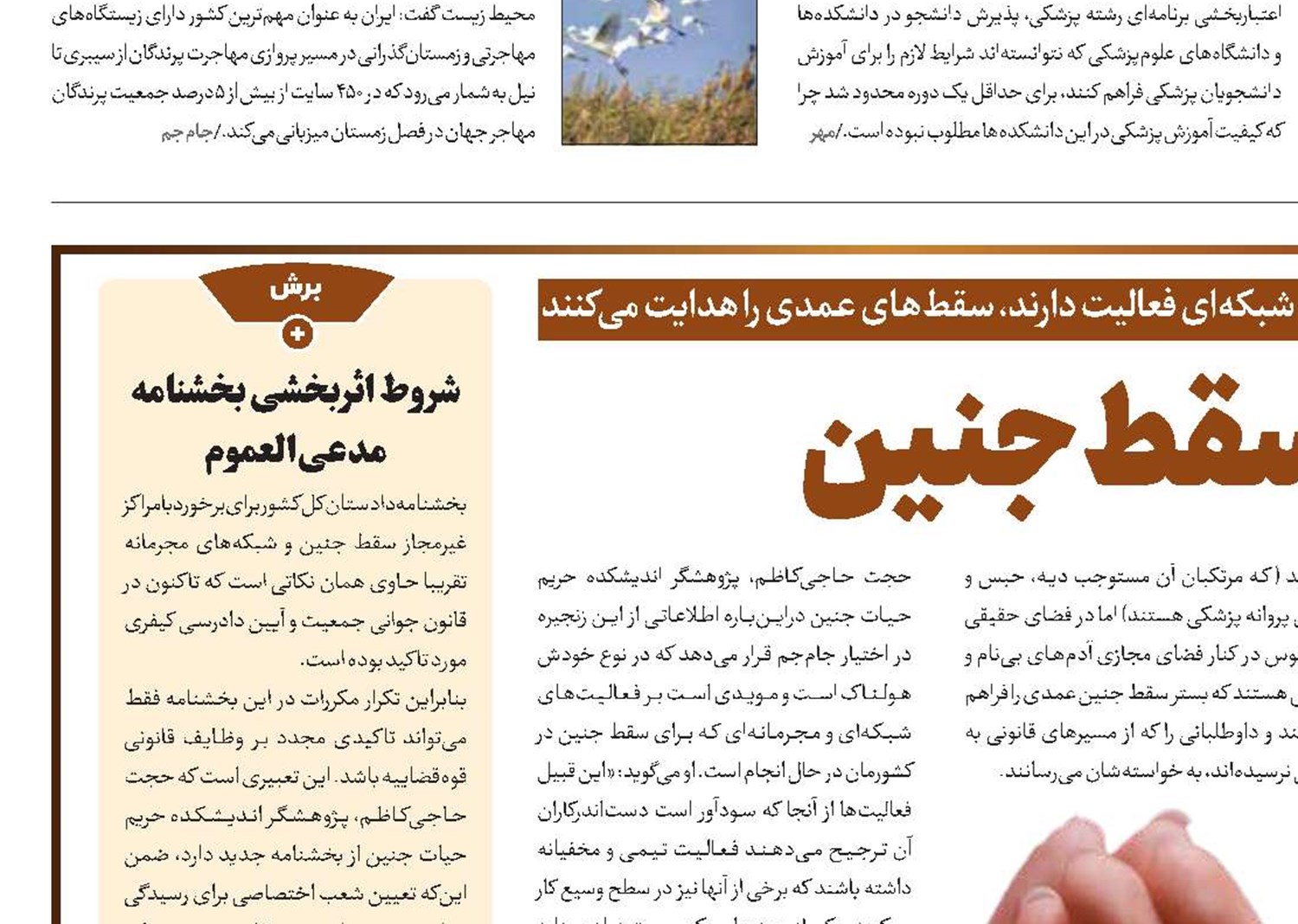 خروش علیه سقط‌جنین