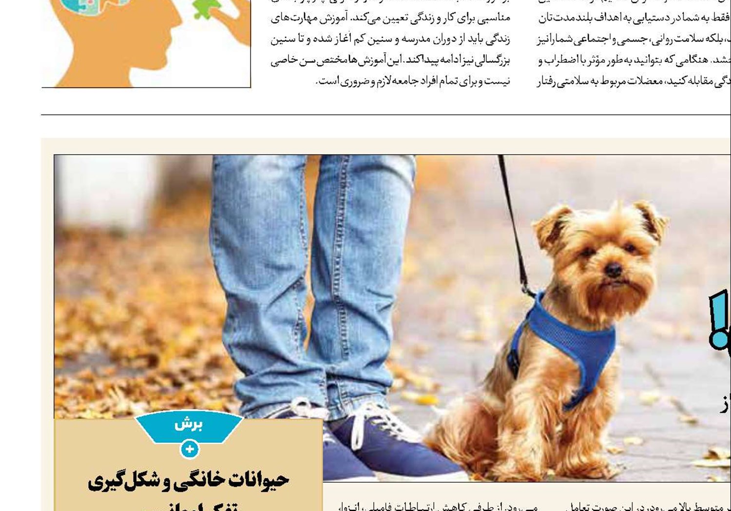 حیوان‌پروری به جای فرزندآوری!