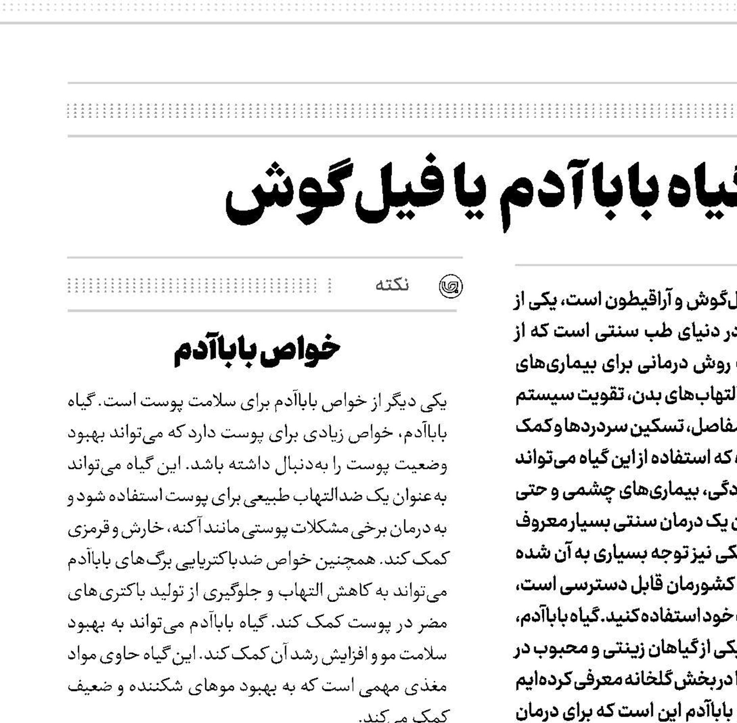 خواص درمانی گیاه بابا‌آدم  یا فیل‌گوش