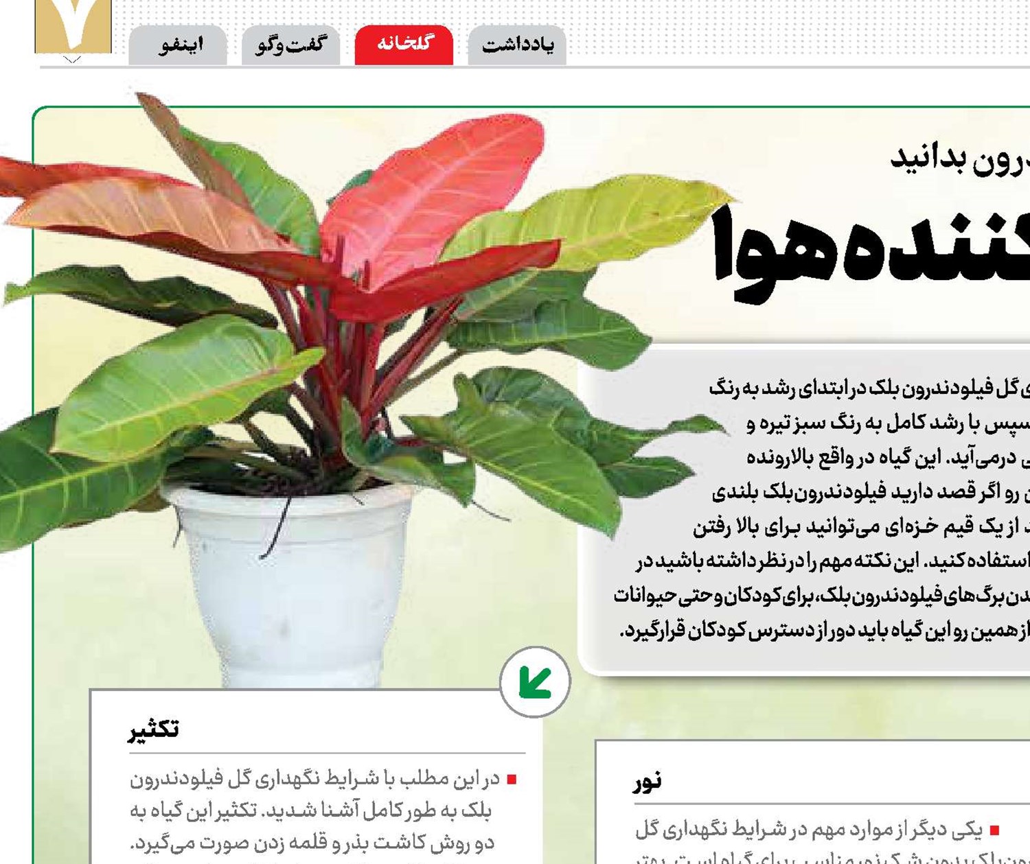 خاص زیبا و تصفیه‌کننده هوا