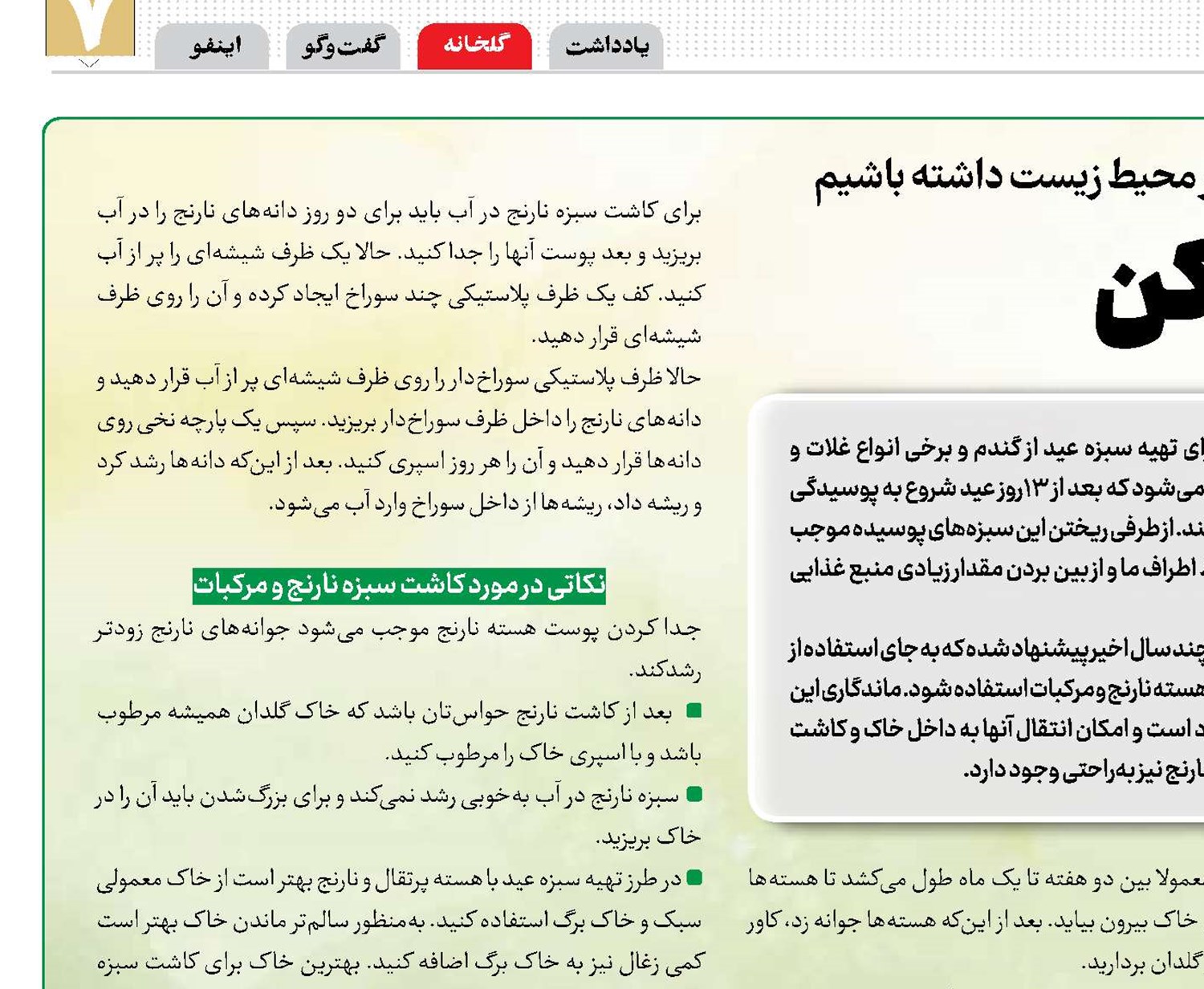 نارنجتو سبز کن