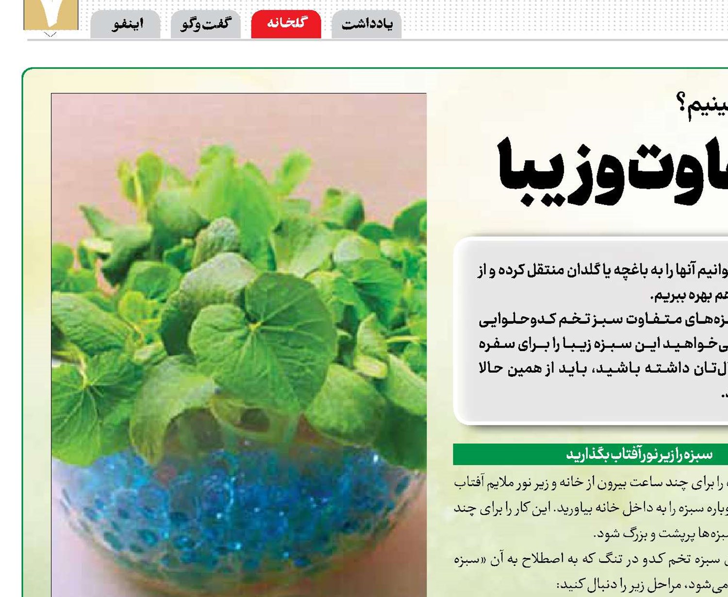 سبزه کدوحلوایی متفاوت و زیبا 