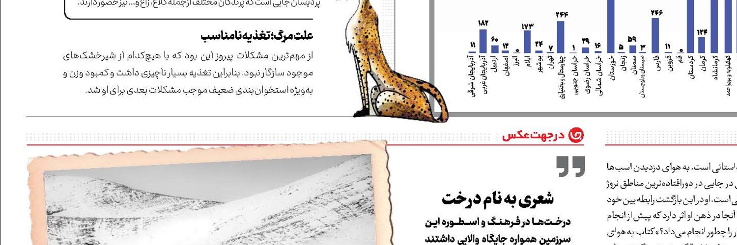 لیام نیسون،بازیگر هالیوود نسبت به وضعیت مردم غزه ابراز همدردی کرد