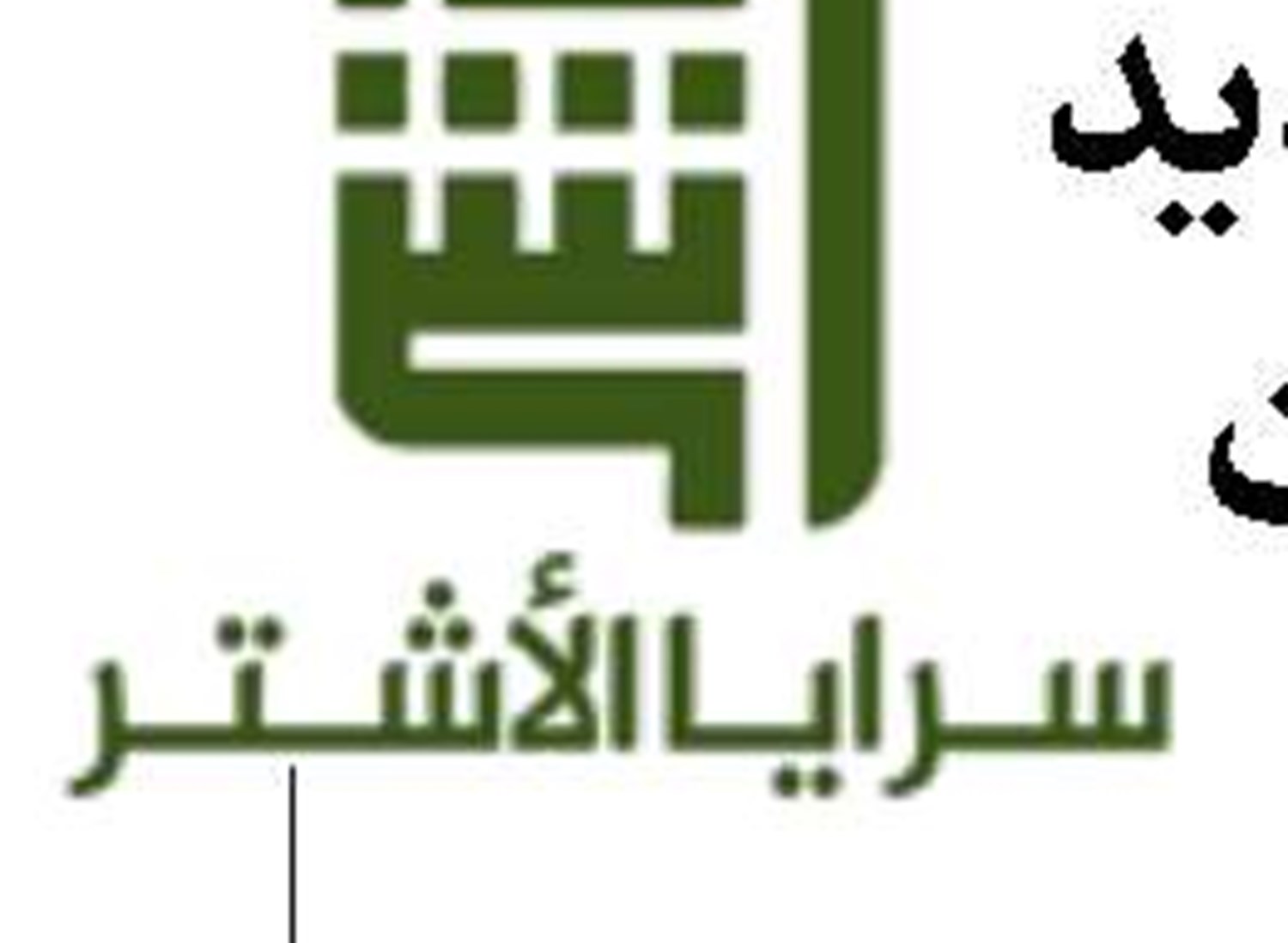 زنان محجبه زیربنای جامعه کنشگر