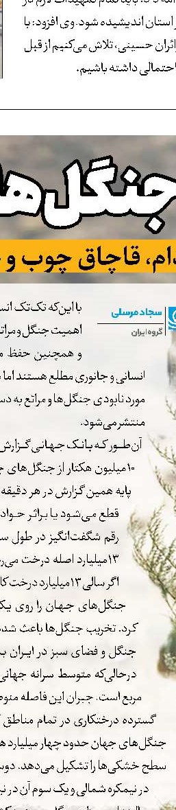 جلوگیری از تخریب مهم‌تر از کاشت درخت