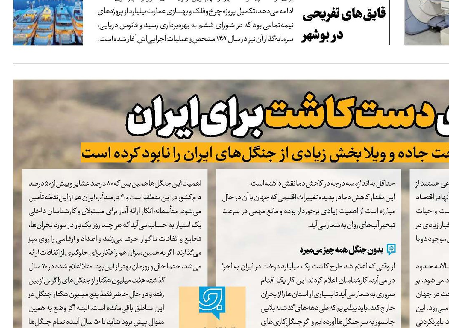 معجزه جنگل‌های دست کاشت برای ایران