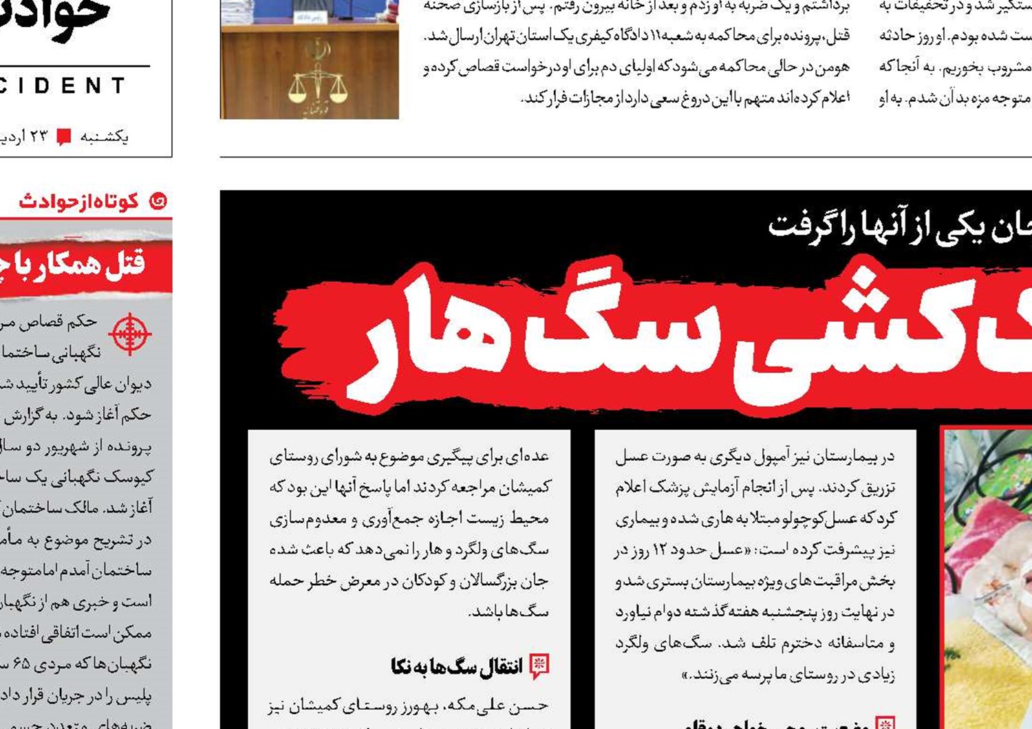 تکرار تراژدی کودک‌کشی سگ‌ هار