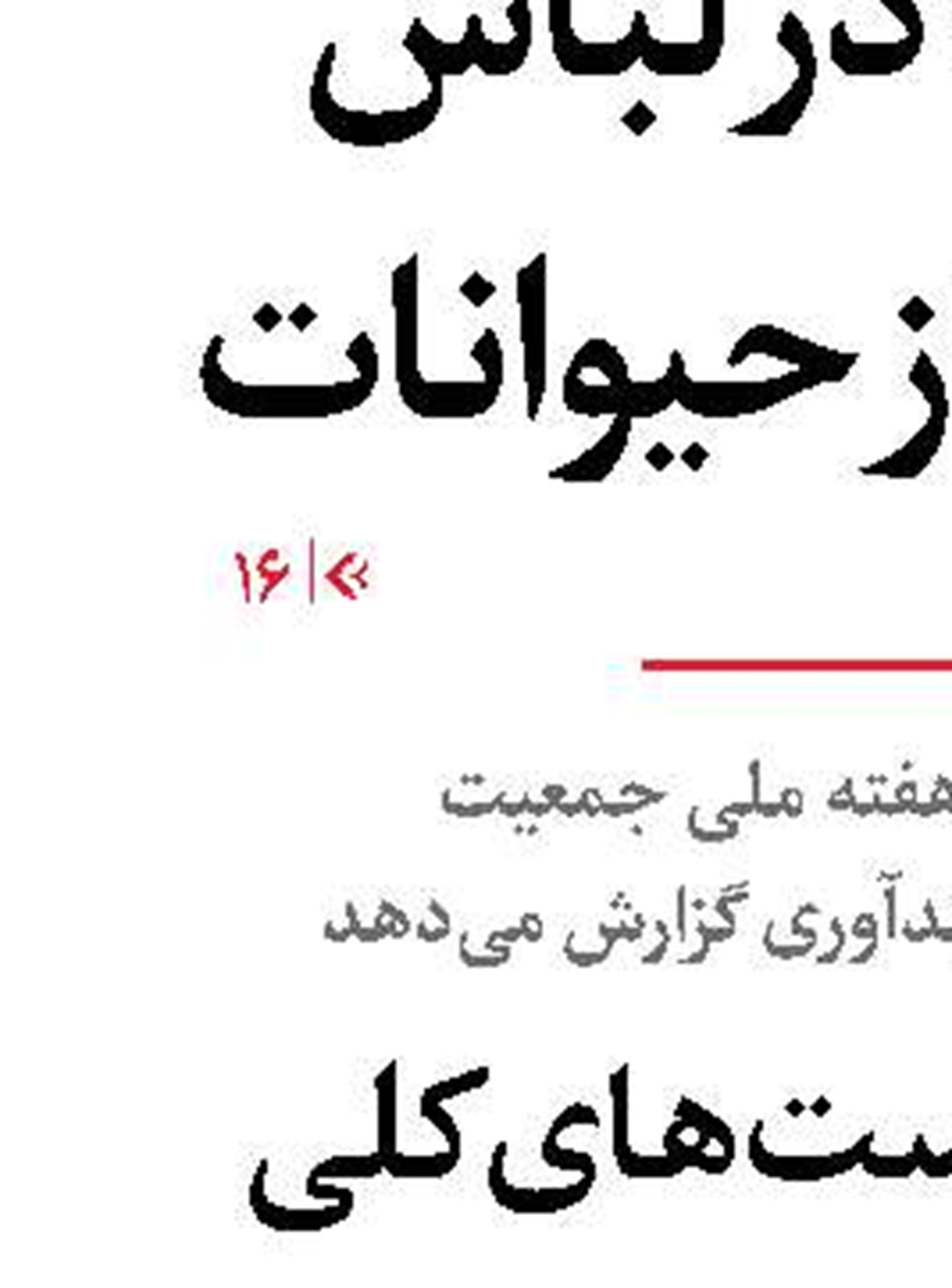 ادبیات؛ وطن حقانیت فلسطین