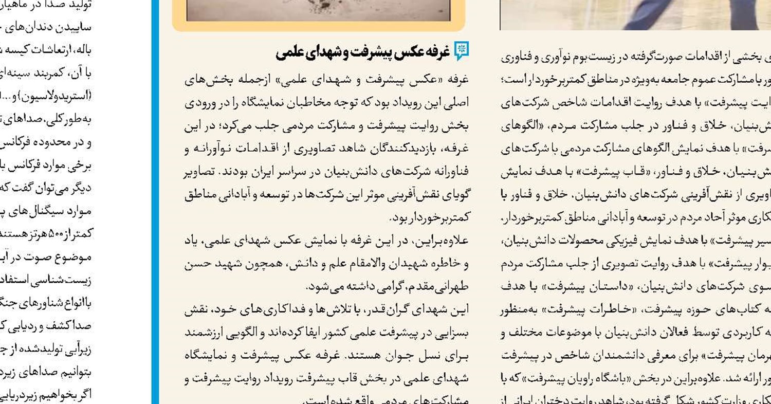 مغذی‌های جوان‌ساز مغز