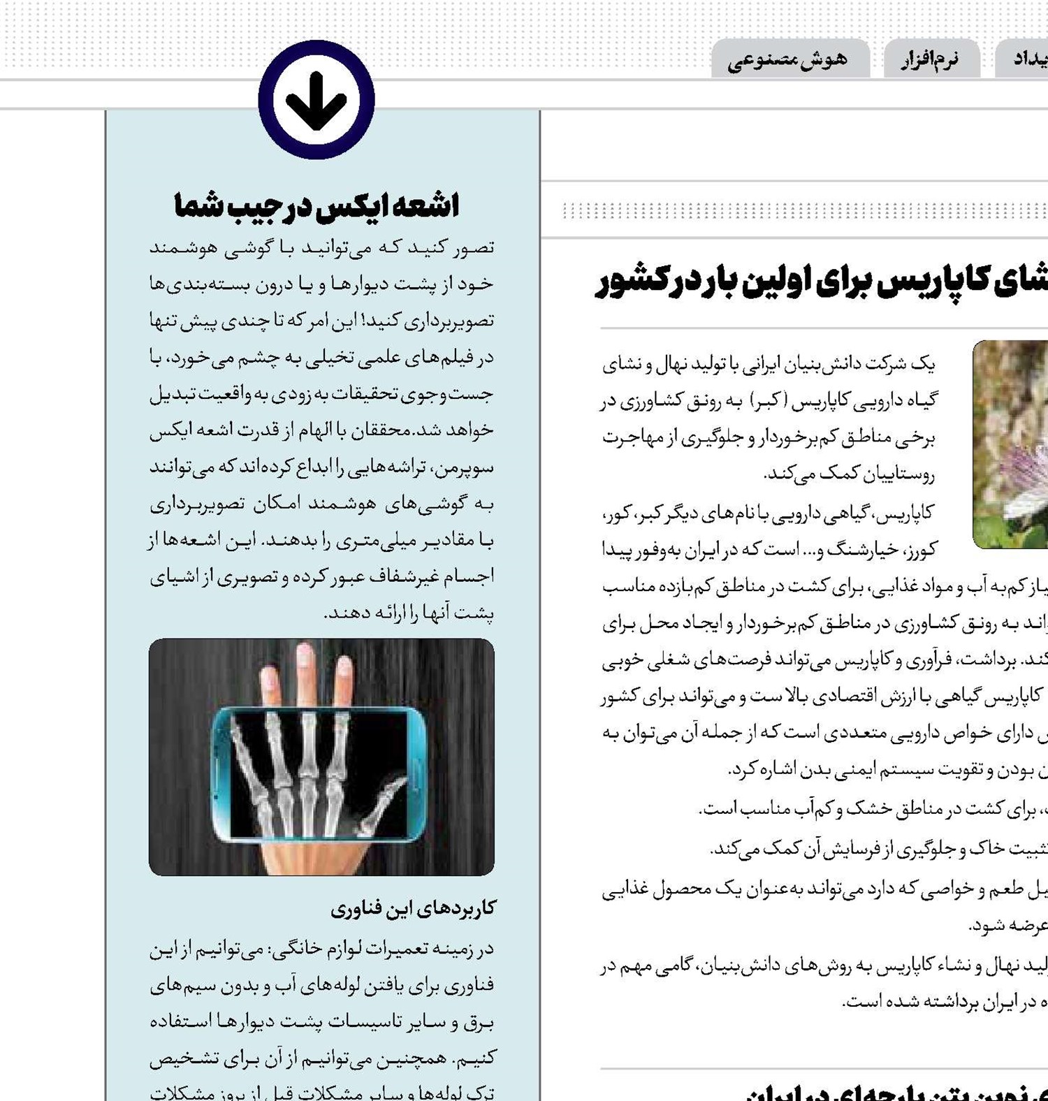 دستیاران هوشمند در اختیار کاندیدا‌ها