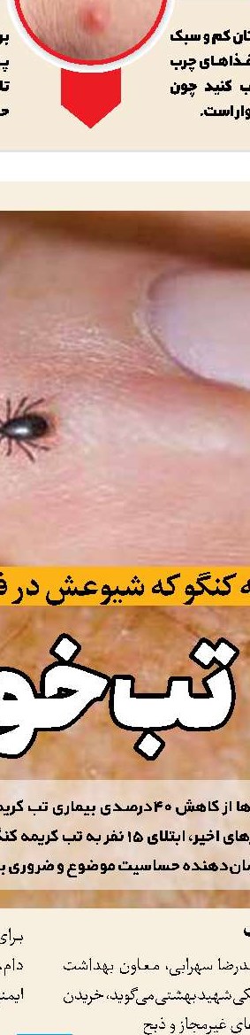 ورزش، حمایت‌گر روزهای سالمندی