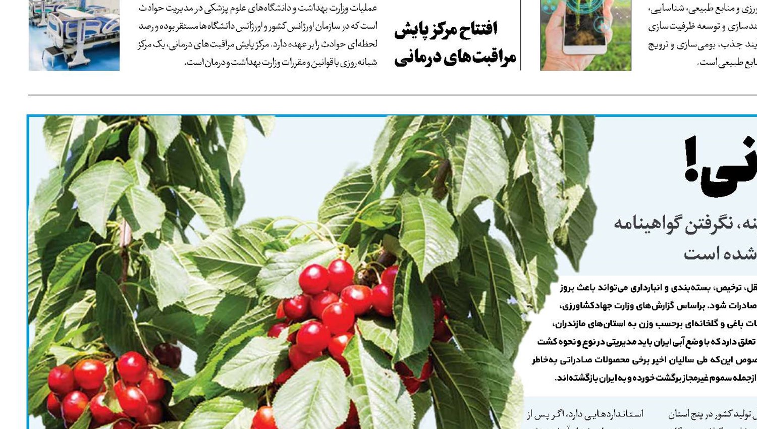 مصائب میوه ناب ایرانی!