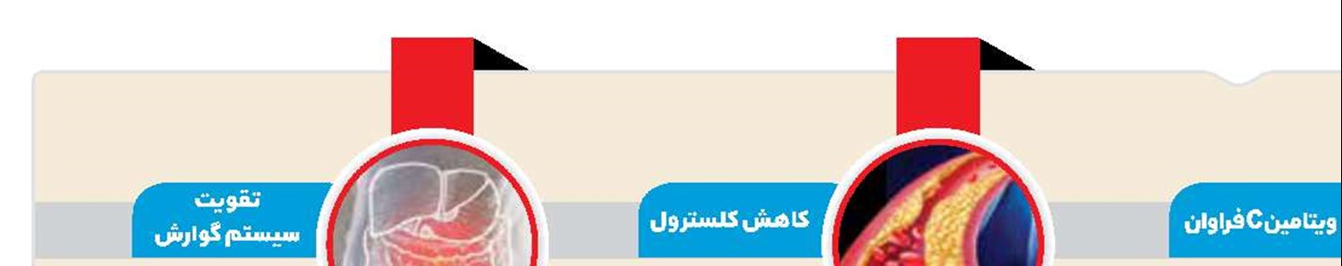 خواص چهارگانه میوه نارس انگور!