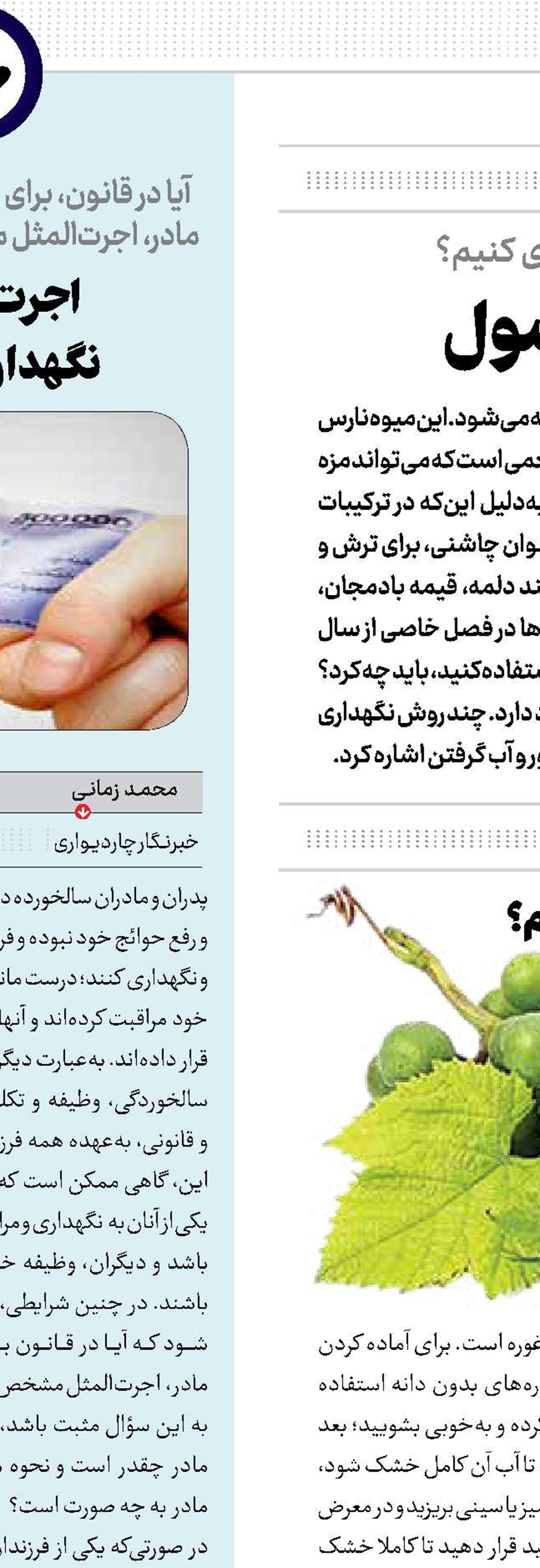 غوره برای تمام فصول